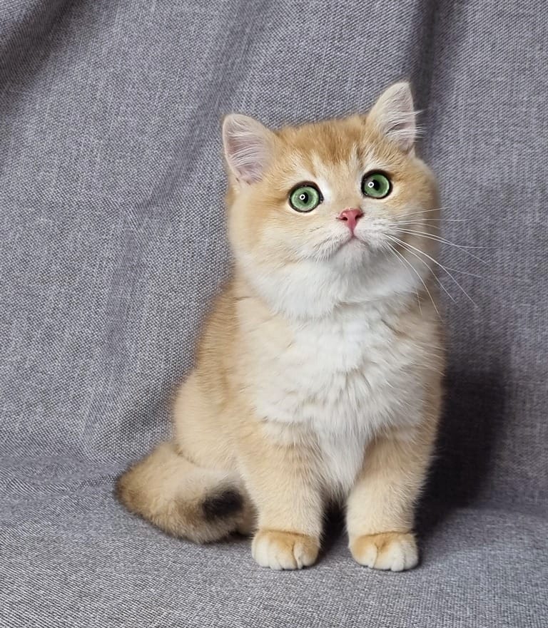 WhatsApp Image 2025-12-16 at 07.32.22 (1)