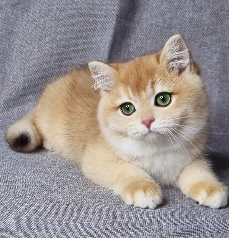 WhatsApp Image 2025-12-16 at 07.32.22 (2)