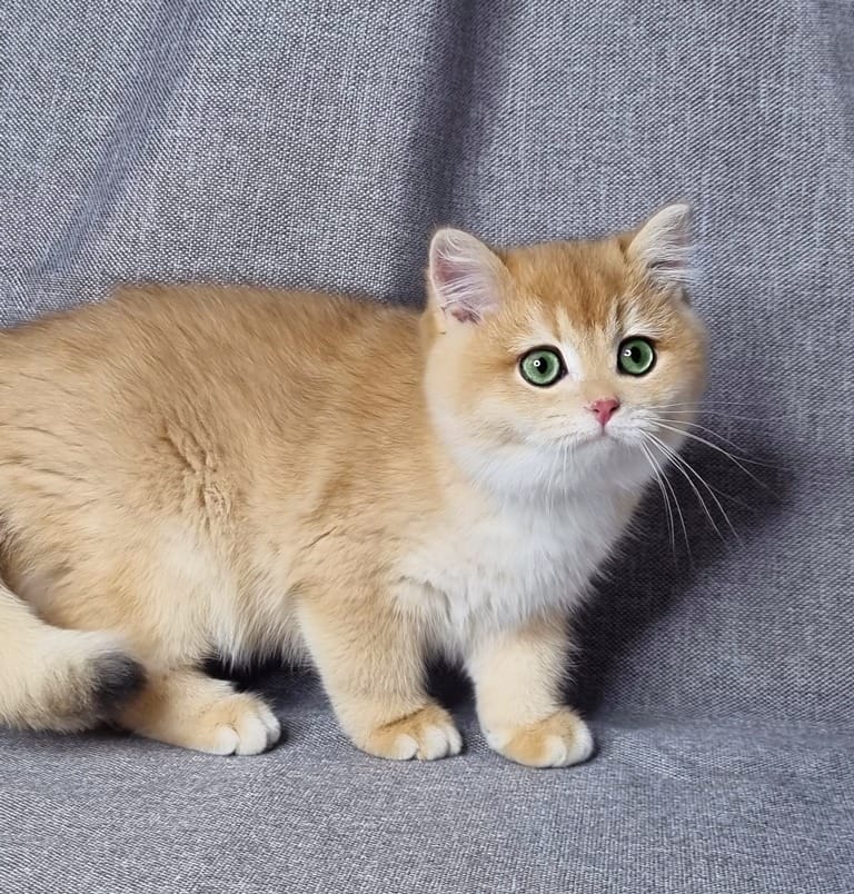 WhatsApp Image 2025-12-16 at 07.32.22