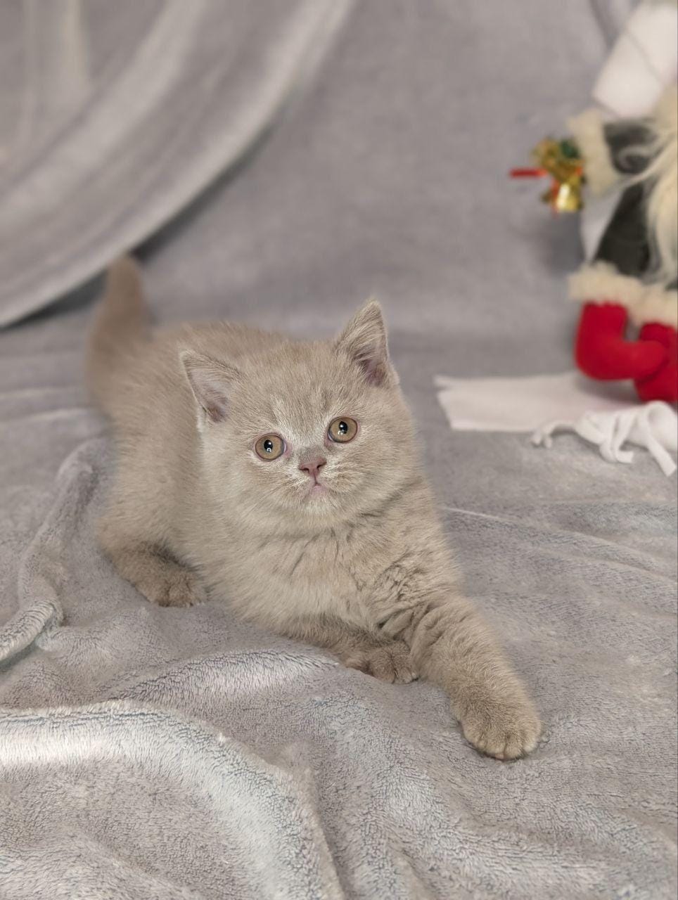 WhatsApp Image 2025-12-28 at 23.11.44 (1)