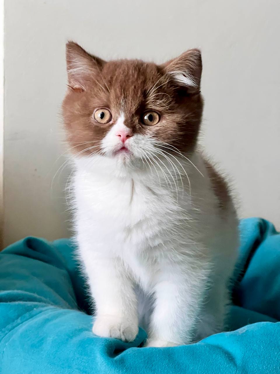 photo_2026-02-09_10-56-33