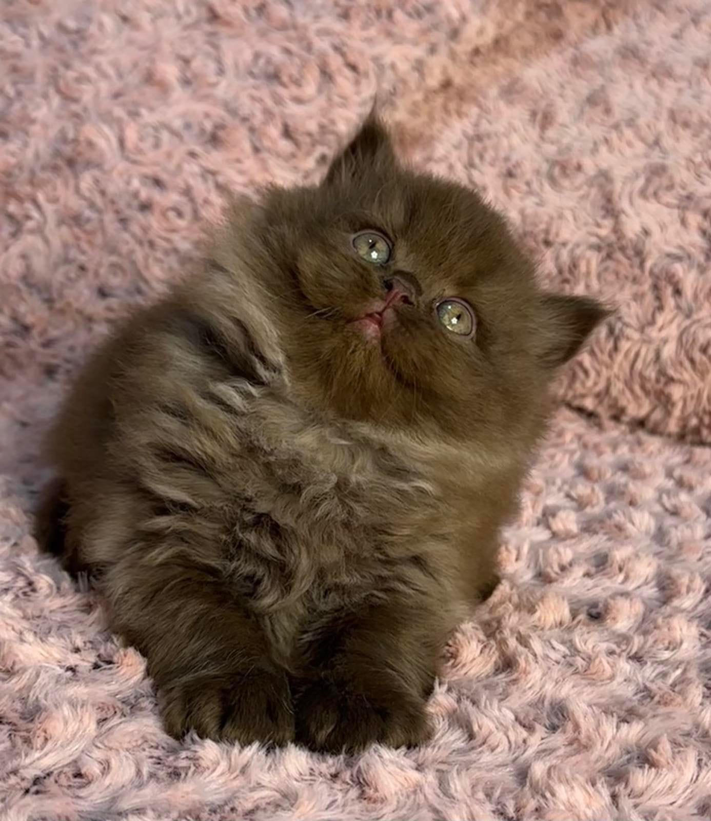 WhatsApp Image 2026-01-11 at 21.47.17 (2)