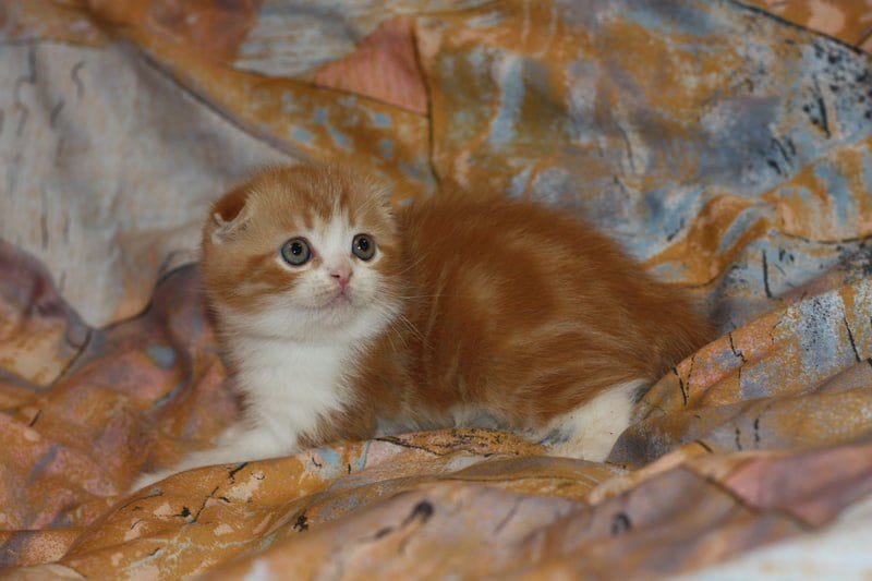 WhatsApp Image 2026-01-11 at 21.50.11