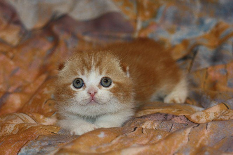 WhatsApp Image 2026-01-11 at 21.50.12 (2)