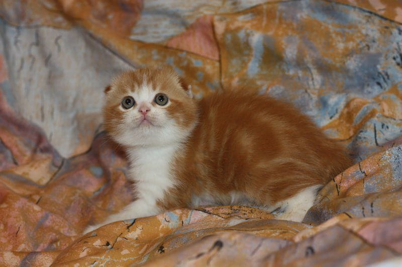 WhatsApp Image 2026-01-11 at 21.50.12 (4)