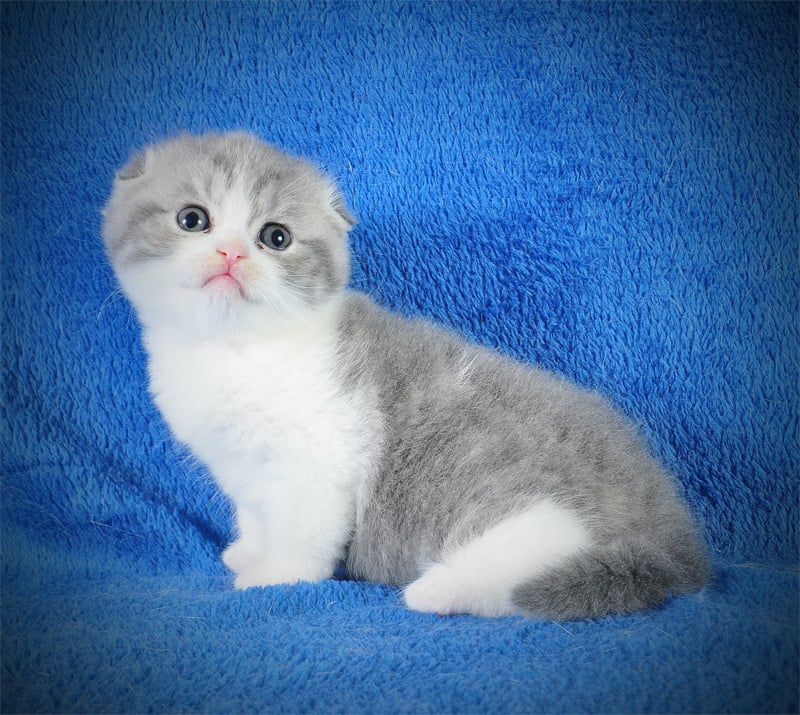 WhatsApp Image 2026-01-11 at 21.55.32 (1)