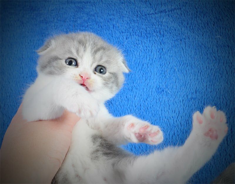 WhatsApp Image 2026-01-11 at 21.55.32