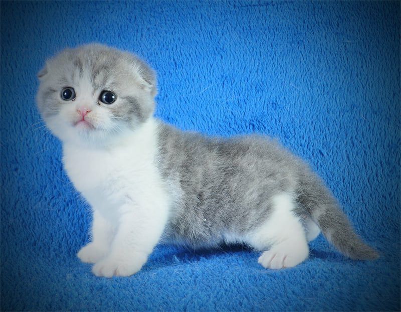 WhatsApp Image 2026-01-11 at 21.55.33 (1)