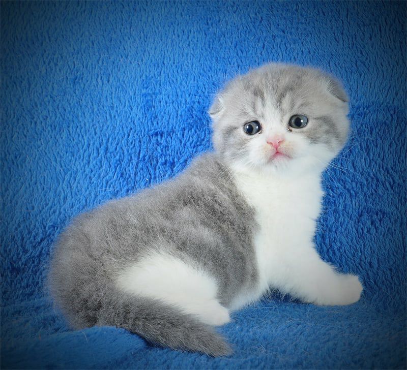 WhatsApp Image 2026-01-11 at 21.55.33 (3)