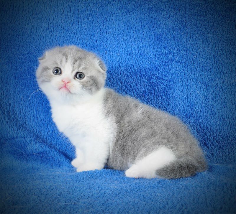 WhatsApp Image 2026-01-11 at 21.55.33 (4)