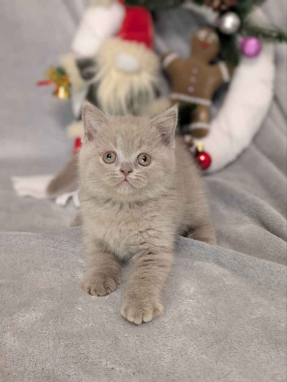 WhatsApp Image 2026-01-11 at 21.58.23 (6)