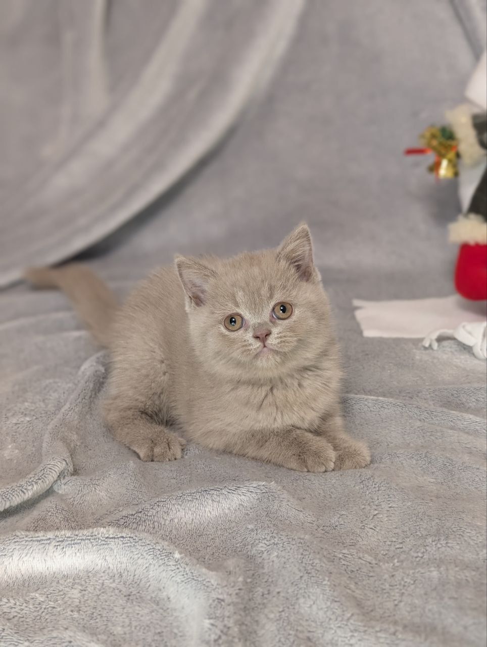 WhatsApp Image 2026-01-11 at 21.58.24 (2)