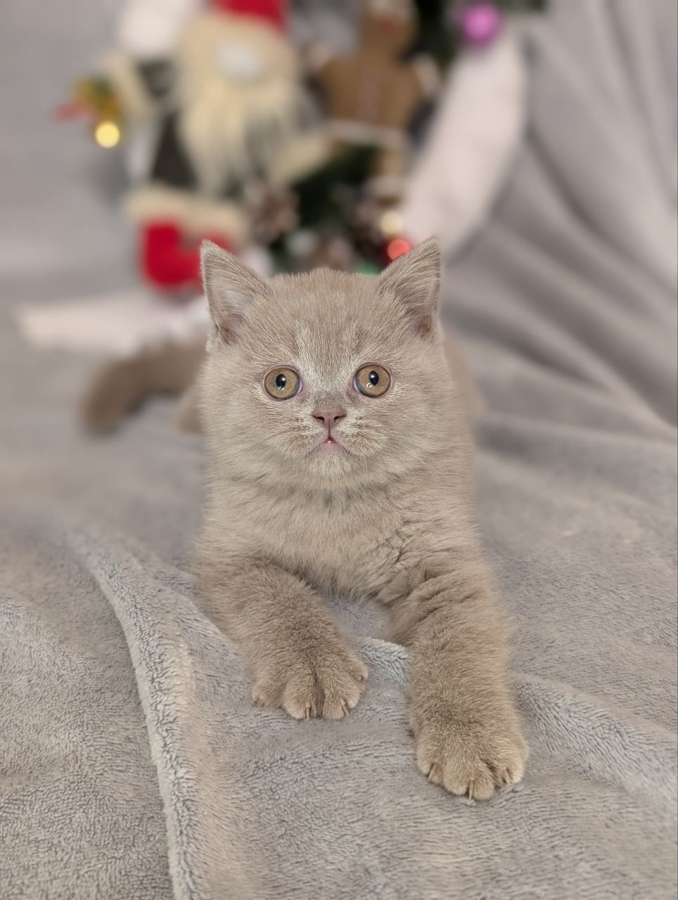 WhatsApp Image 2026-01-11 at 21.58.24