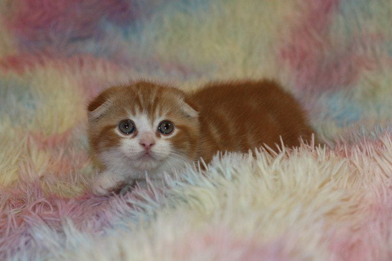 WhatsApp Image 2026-01-11 at 23.27.53