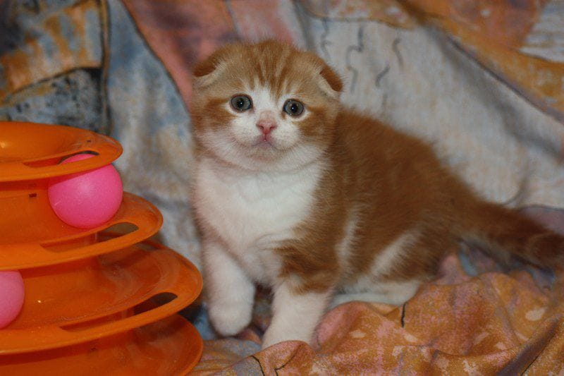 WhatsApp Image 2026-01-11 at 23.27.54