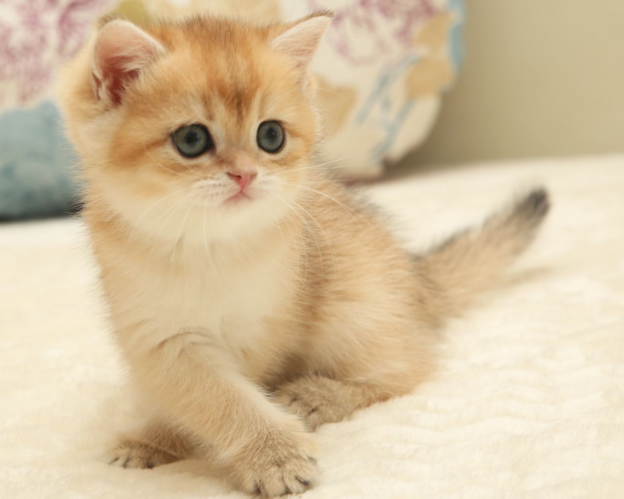 WhatsApp Image 2026-01-23 at 16.06.39 (1)