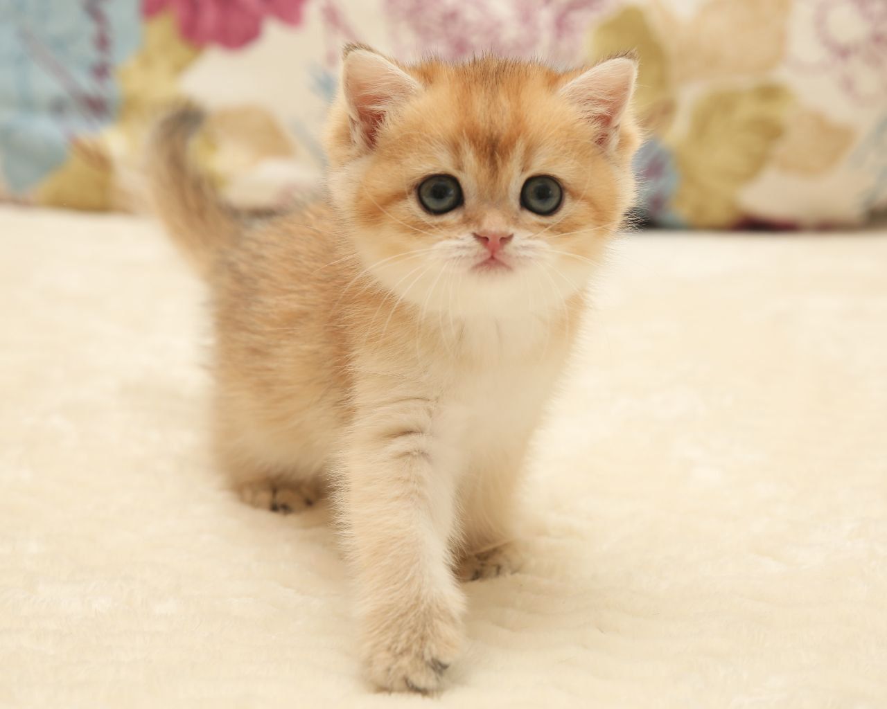 WhatsApp Image 2026-01-23 at 16.06.39 (2)