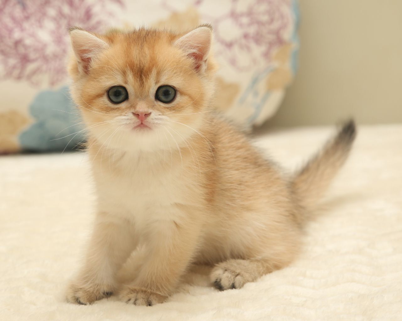 WhatsApp Image 2026-01-23 at 16.06.39