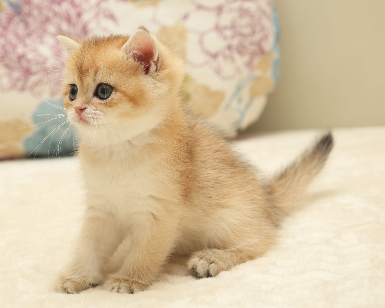 WhatsApp Image 2026-01-23 at 16.06.40 (1)