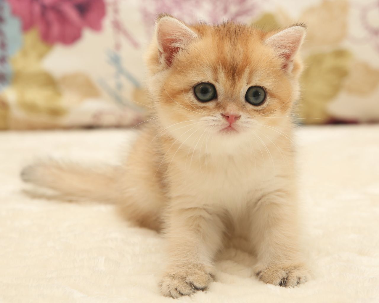 WhatsApp Image 2026-01-23 at 16.06.40 (2)