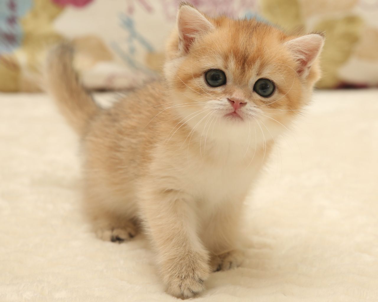 WhatsApp Image 2026-01-23 at 16.06.40