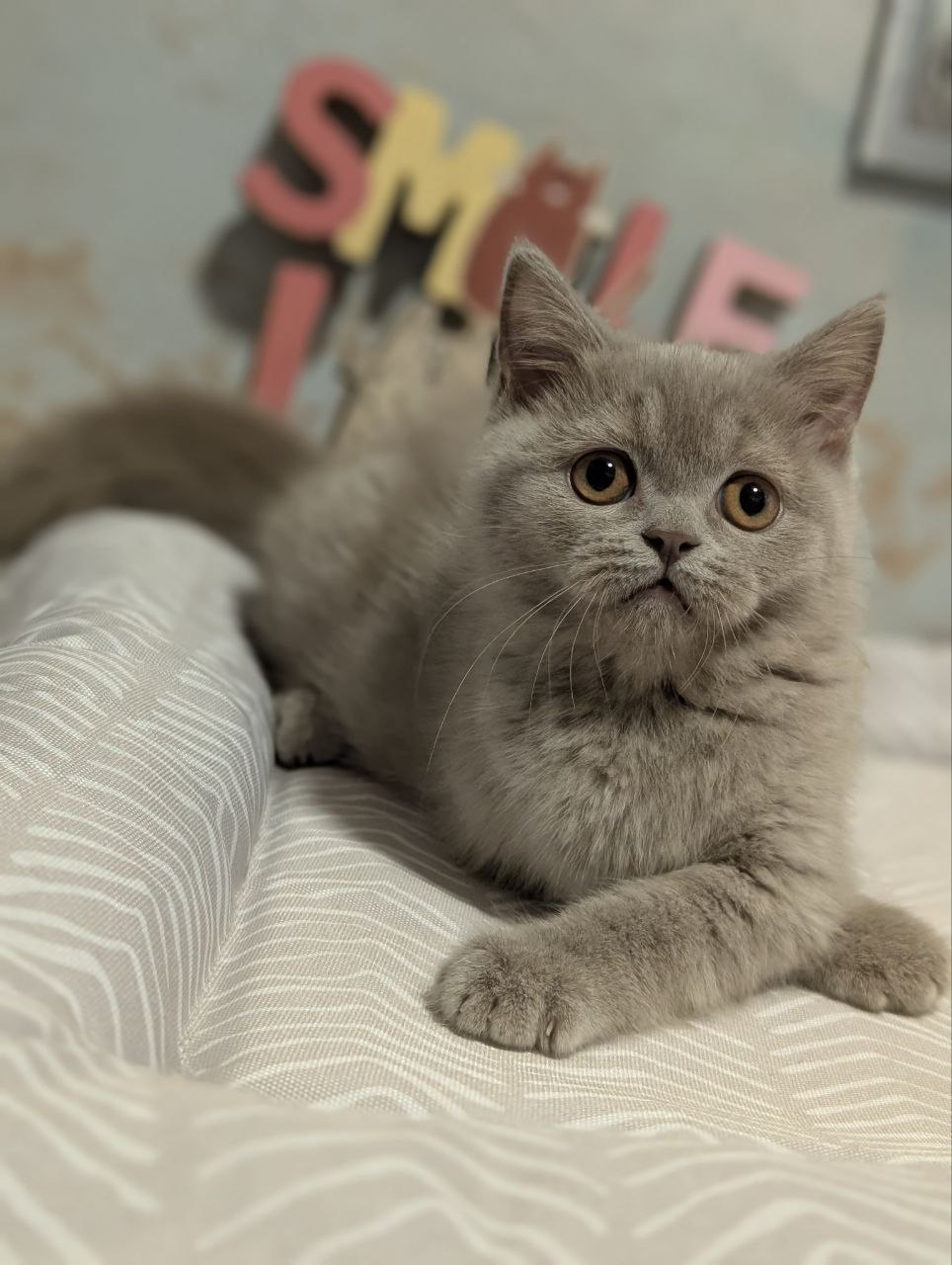 photo_2026-02-09_10-53-47