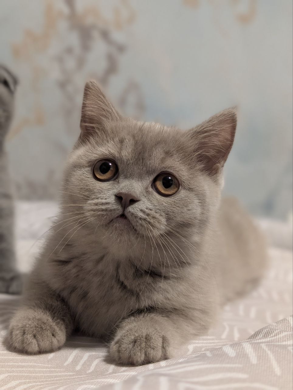 photo_2026-02-09_10-53-54