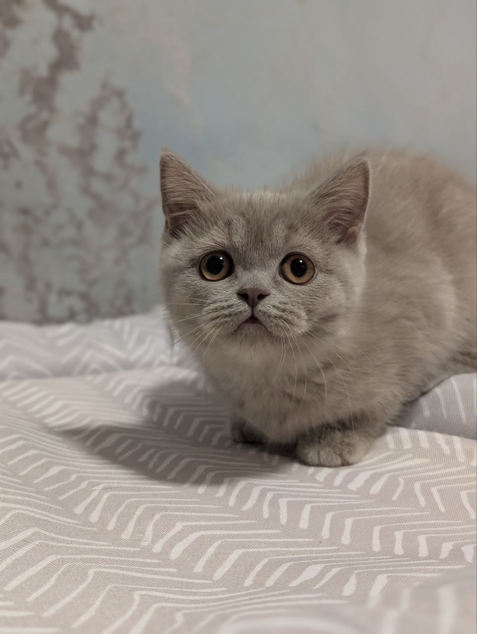 photo_2026-02-09_10-53-59