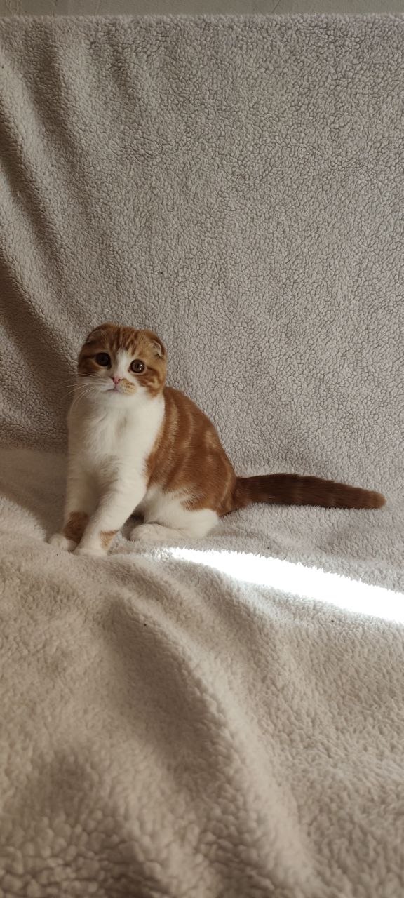 photo_2026-03-22_17-37-39