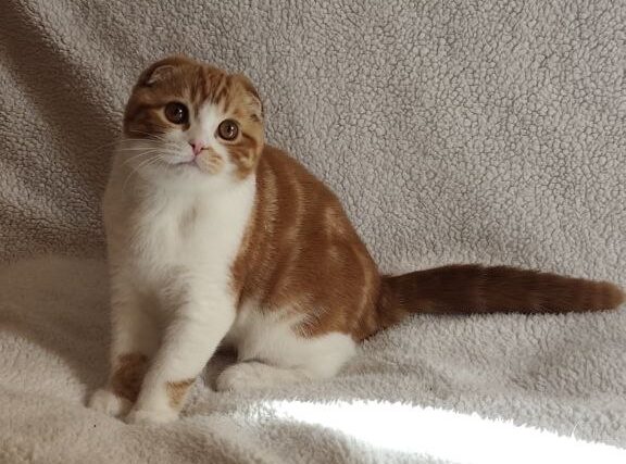 photo_2026-03-22_17-37-42