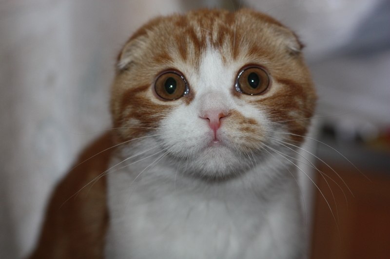 photo_2026-03-22_17-38-38