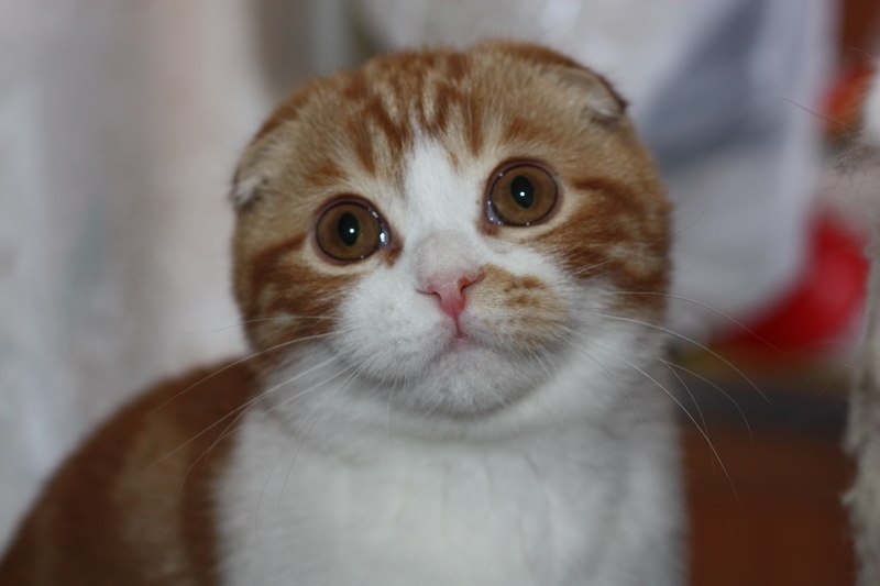 photo_2026-03-22_17-38-39