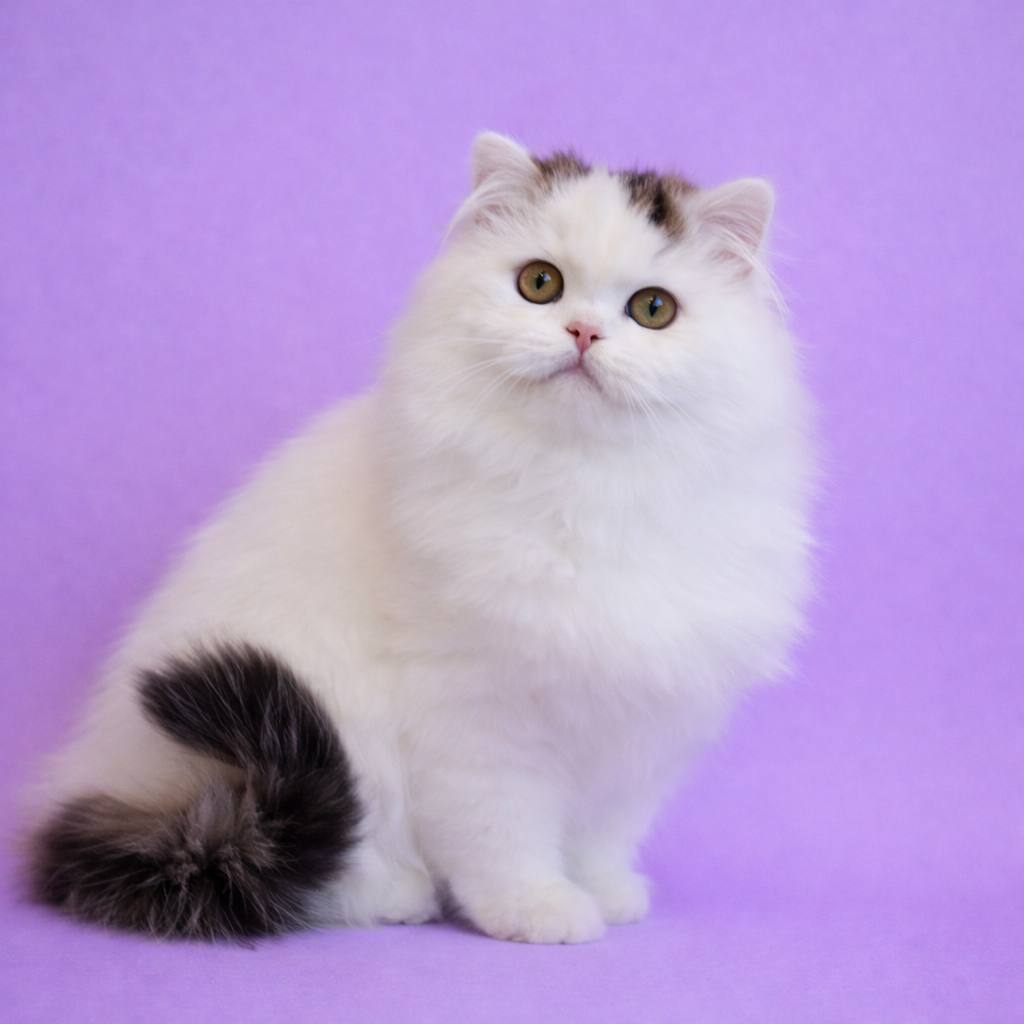 photo_2026-04-16_12-42-38