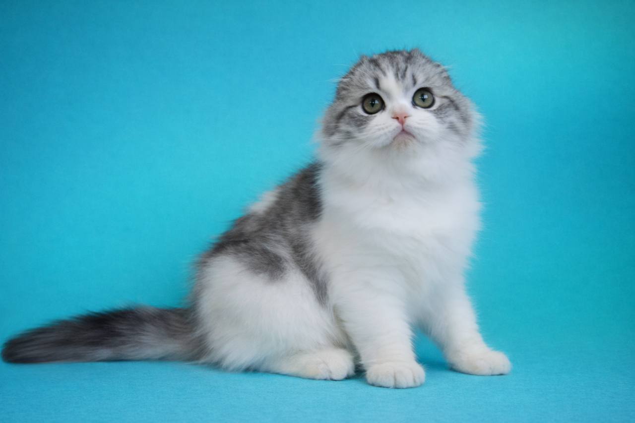 photo_2026-04-16_12-43-47