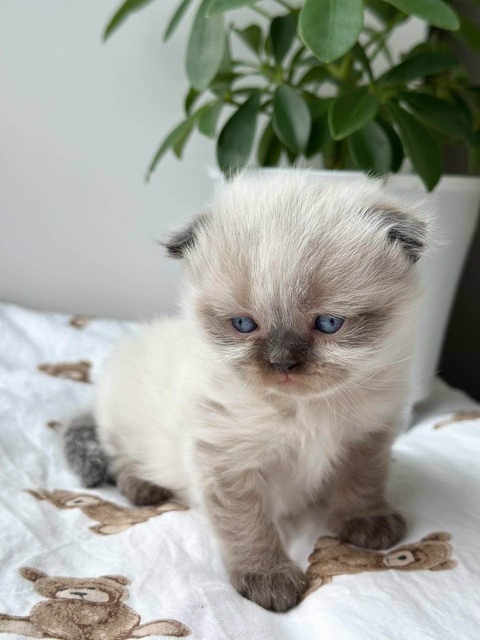 WhatsApp Image 2026-02-13 at 13.07.05 (2)