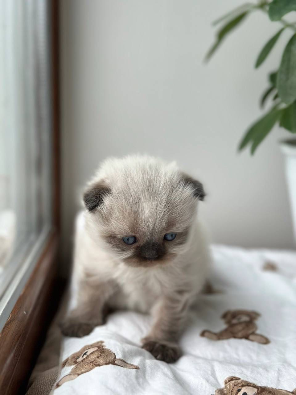 WhatsApp Image 2026-02-13 at 13.07.05 (7)