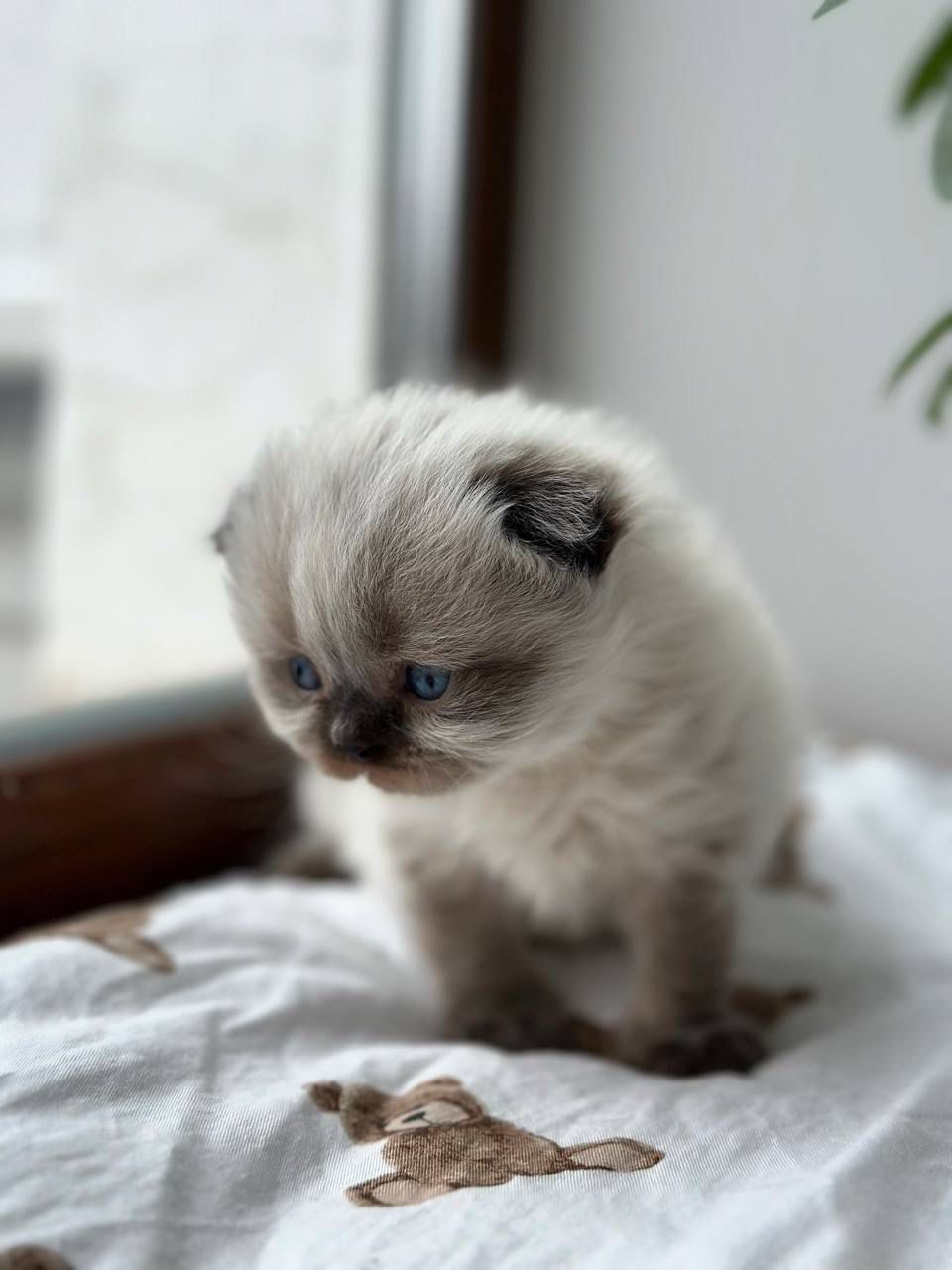 WhatsApp Image 2026-02-13 at 13.07.05