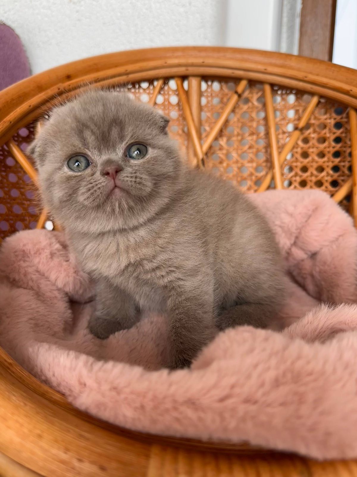 WhatsApp Image 2026-02-13 at 13.35.27 (4)