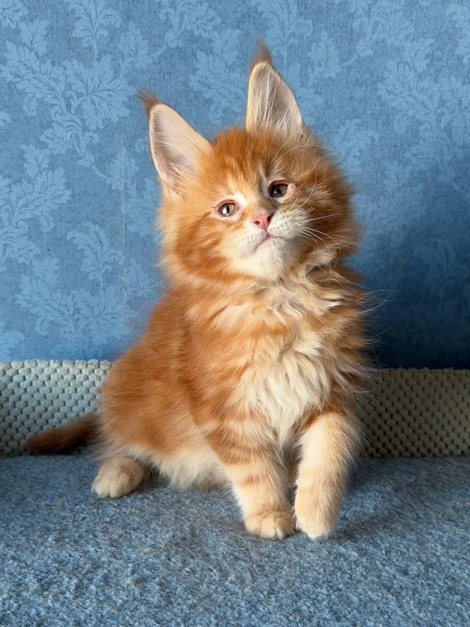 WhatsApp Image 2026-02-13 at 13.38.50 (2)