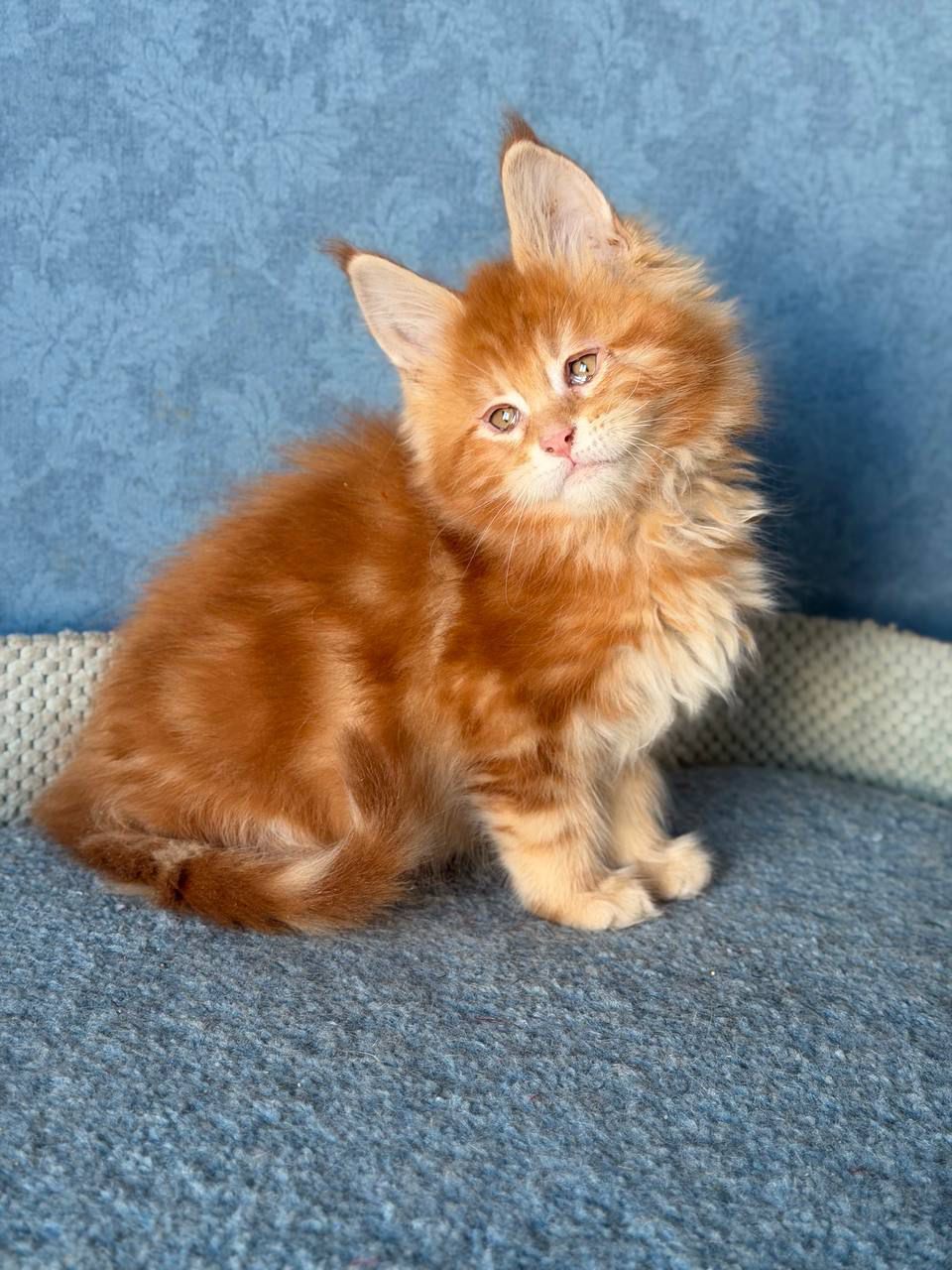 WhatsApp Image 2026-02-13 at 13.38.50 (3)