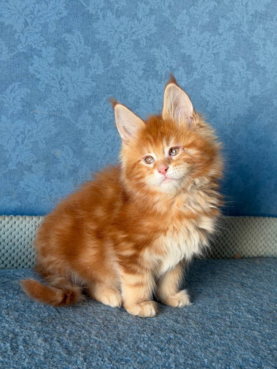 WhatsApp Image 2026-02-13 at 13.38.50 (4)