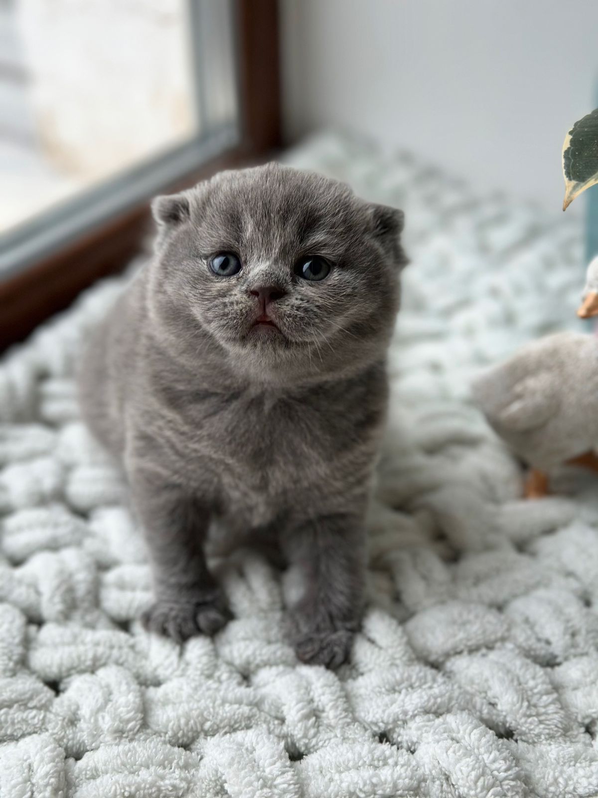 WhatsApp Image 2026-02-16 at 13.39.11 (3)