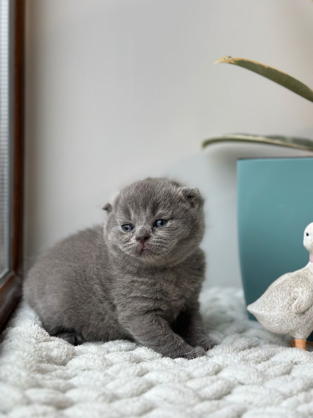 WhatsApp Image 2026-02-16 at 13.39.11 (4)