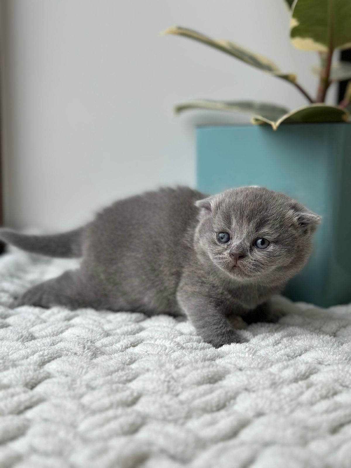 WhatsApp Image 2026-02-16 at 13.39.11