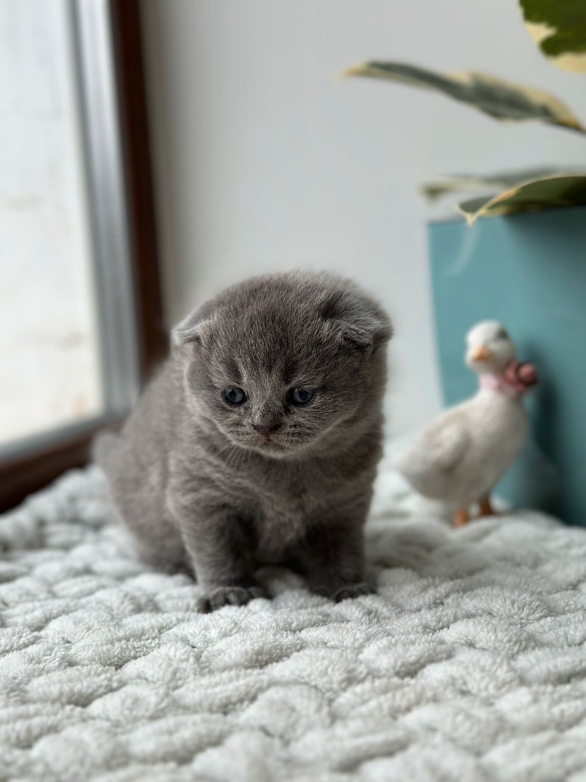 WhatsApp Image 2026-02-16 at 13.39.12 (1)