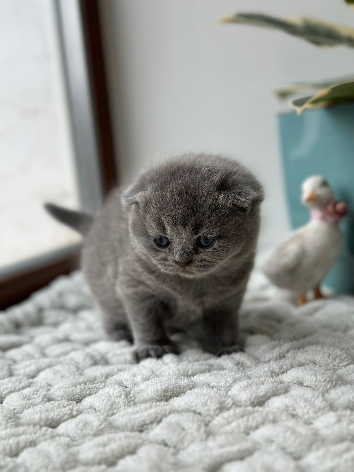 WhatsApp Image 2026-02-16 at 13.39.12 (2)