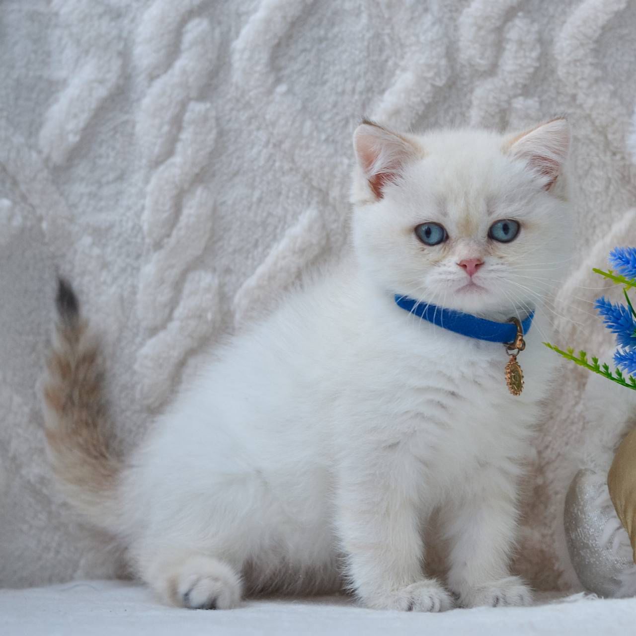 WhatsApp Image 2026-02-16 at 13.39.40 (3)