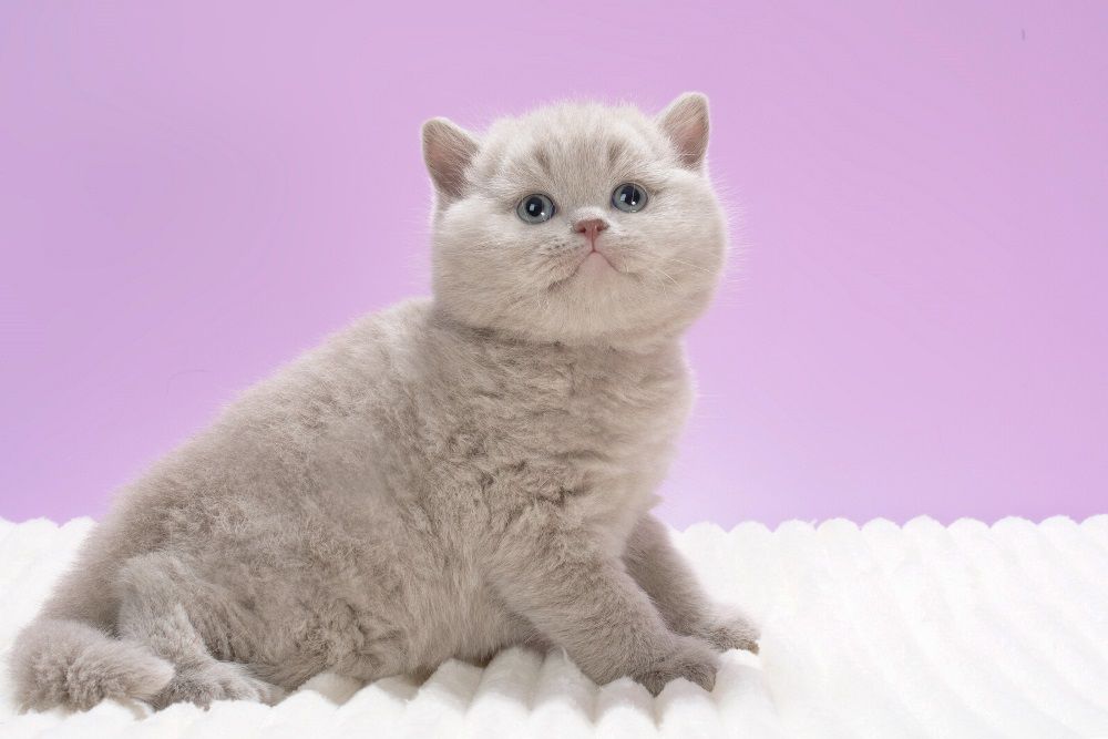 WhatsApp Image 2026-02-18 at 12.57.19 (3)