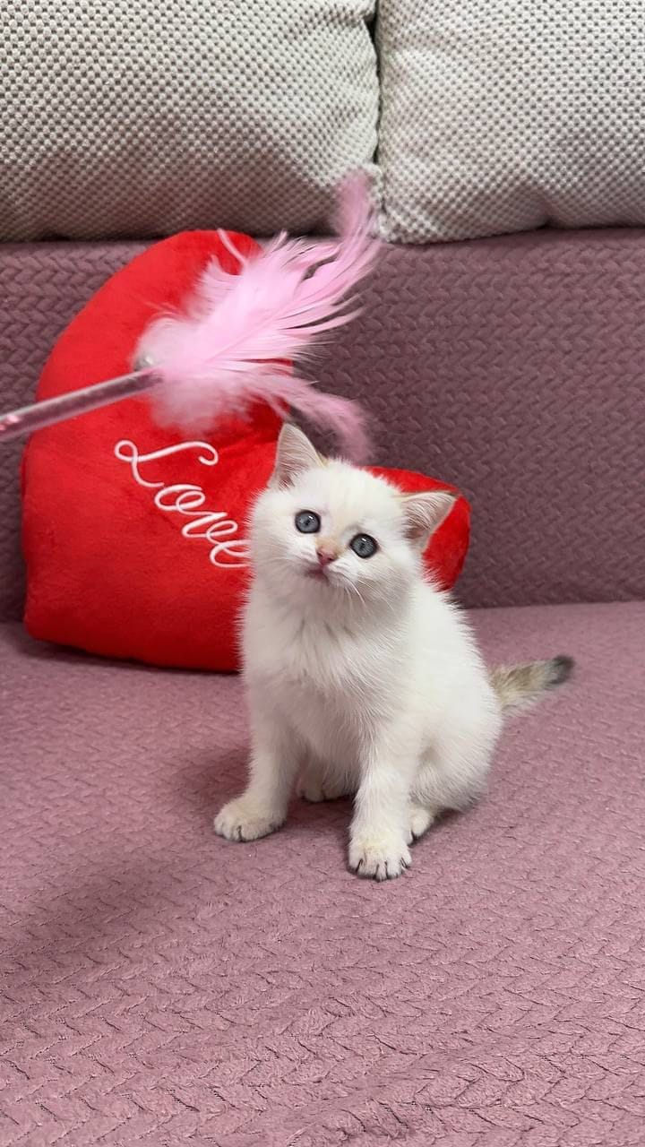 WhatsApp Image 2026-02-24 at 18.55.47