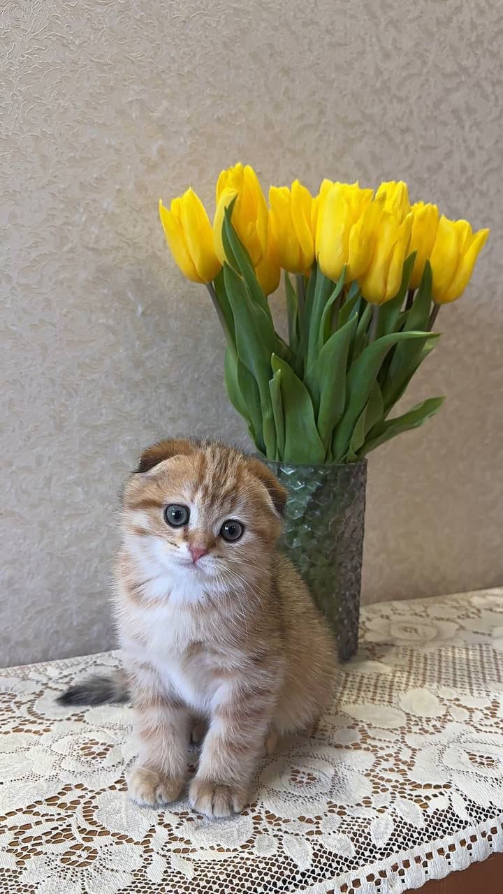 WhatsApp Image 2026-02-24 at 20.21.31 (2)